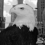 United States of America [Game]
