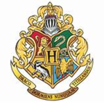 harry potter fan club and wizarding school!
