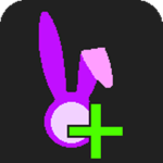 RabbitPlus Security