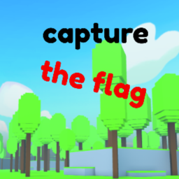 capture the flag (update 5)