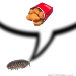 land of the PILLZ