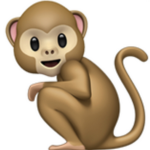 Monkeys ;)