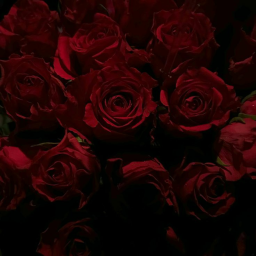 ✿