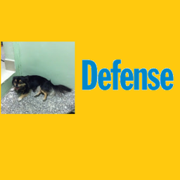 Su Defense