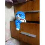 ムギワラ Roar