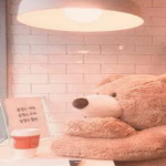 Teddy bear cuddles
