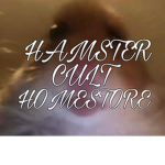 Hamster Cults Hangout