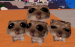 THE FOUR HAMPSTERs