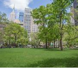 Just a Walk in the Park