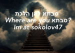 Robex_Yonatan