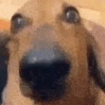 Route 06 [dev build]