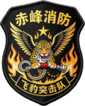 飞豹突击队