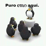 Gansos Rosas xD