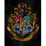 HOGWARTS FANS!!!