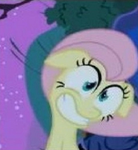 Fluttershy enjoyer!!