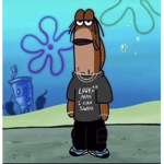 MATOVO