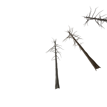 Barren Fir trees 3 pack