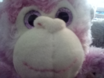 ~RaTiNg AvAtAr~