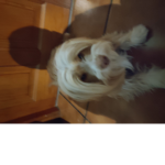 Trucos_crark