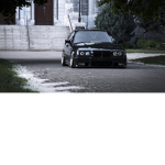 bmw fan club everyone can join!