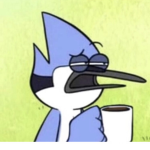 Darcyyq