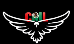 CML TEAM
