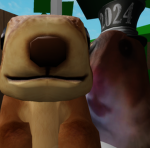 Squirel and Hamter Fan Group