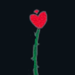 New Rose