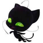 Marinette y adrien