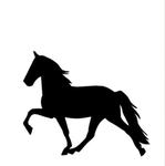 Cowboy ll stables
