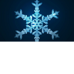 Snowy circus!