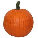 Bumpkin Gang Fan group!