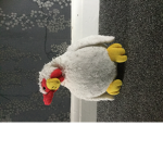 Chickens and cute birds united!