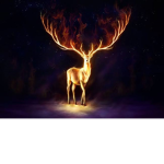 Fire Deer studios