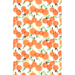 Orange Swiss Aesthetic Clothing