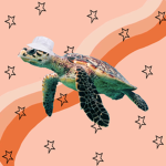 Bucket hat turtle