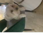 MATERIEL GWOORL
