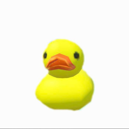 DUCK FARM