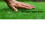 Welcome Sim-