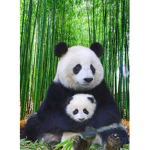Hello made this for no reason and for my cuz :)