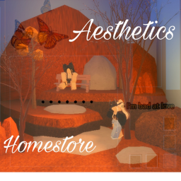?aesthetics homestore¿