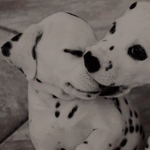 Snoopy_girl