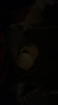 meeowww