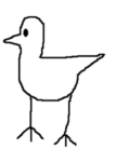 brid studio