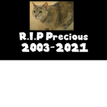 Rip precious