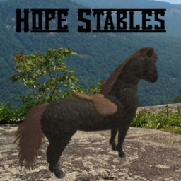 Hope Stables: Western Trails