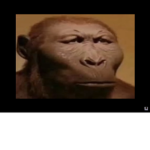 Monke gang people