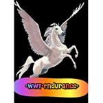 (+)Wild Wings Team(+)