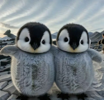 Problematic Penguins