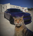 HellCat's crew